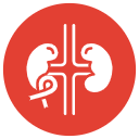 IgA-Nephropathy